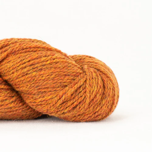 BC Garn - Semilla Melange - Image 17