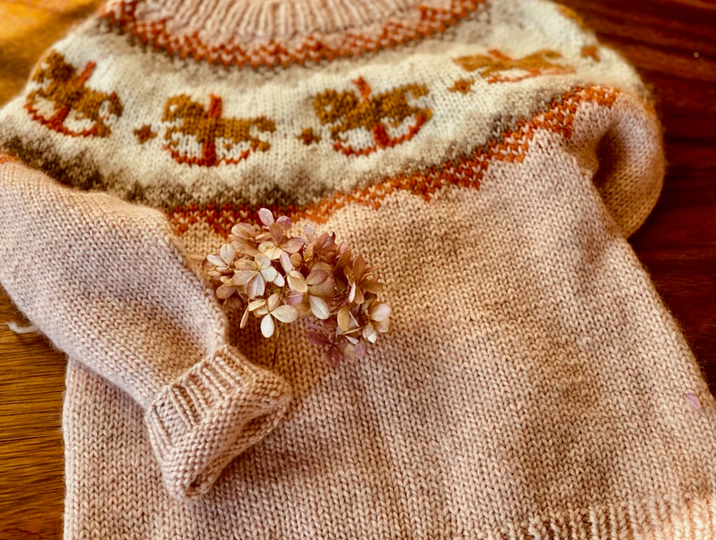 Carousel Sweater Kit - Image 2