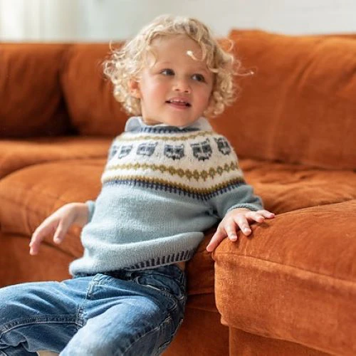 Raccoon Sweater Kit - Image 3