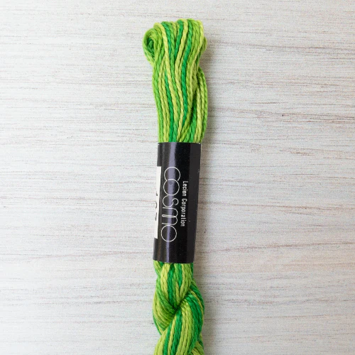Cosmo Seasons #5 Variegated Floss - Image 7