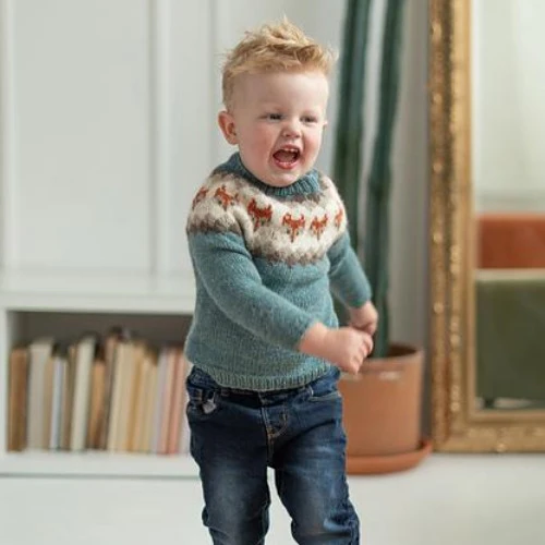 Fox Sweater